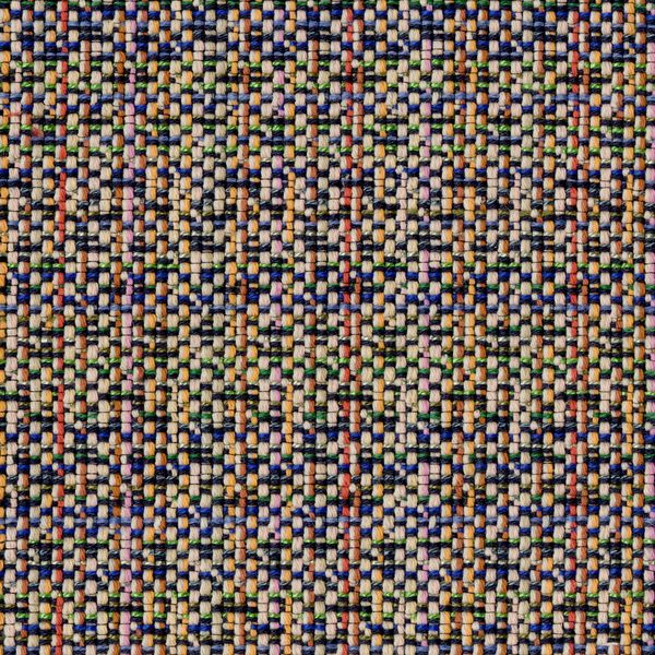 Bramble Fabric in Chroma