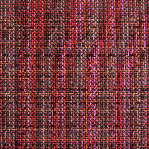 Bramble Fabric in Red Echinacea