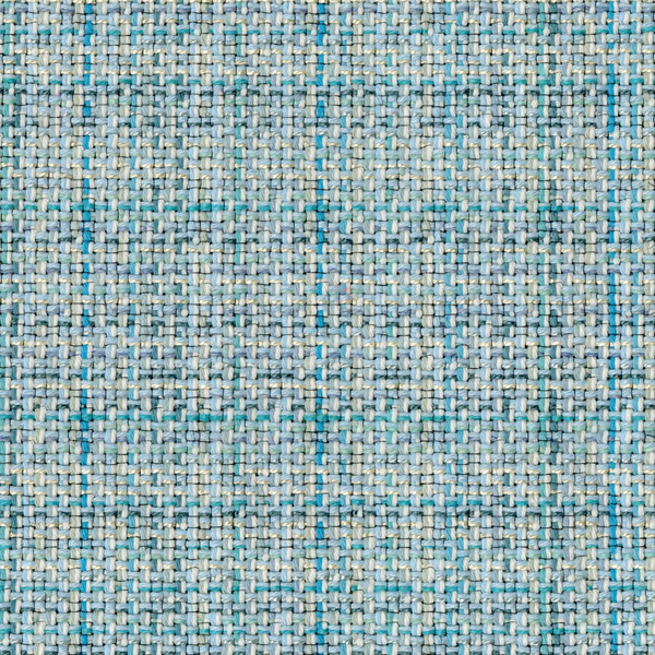 Bramble Fabric in Splash Blue