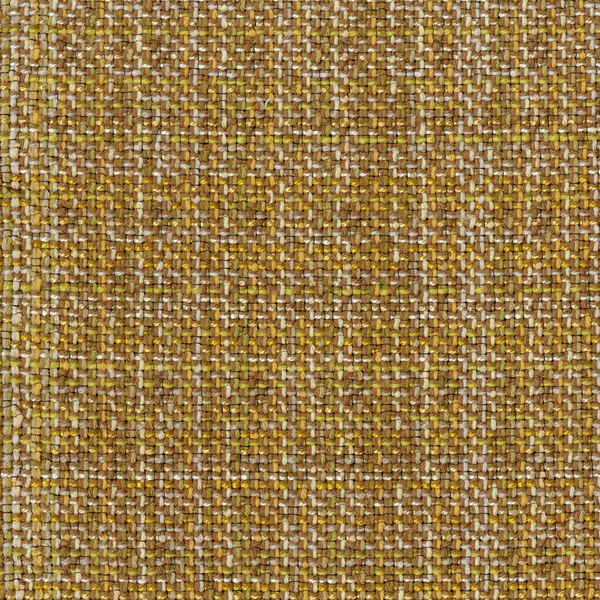 Bramble Fabric in Sunlit Ochre