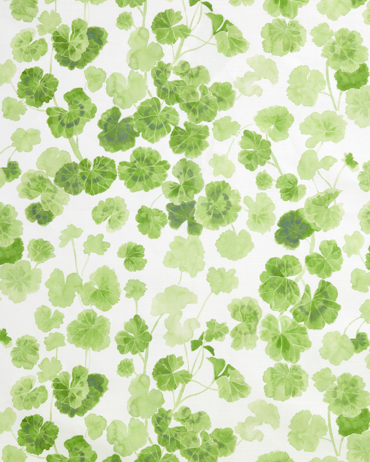 Geraniums Fabric in Green