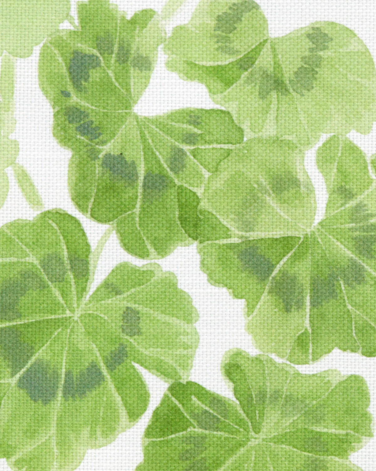 Geraniums Fabric in Green