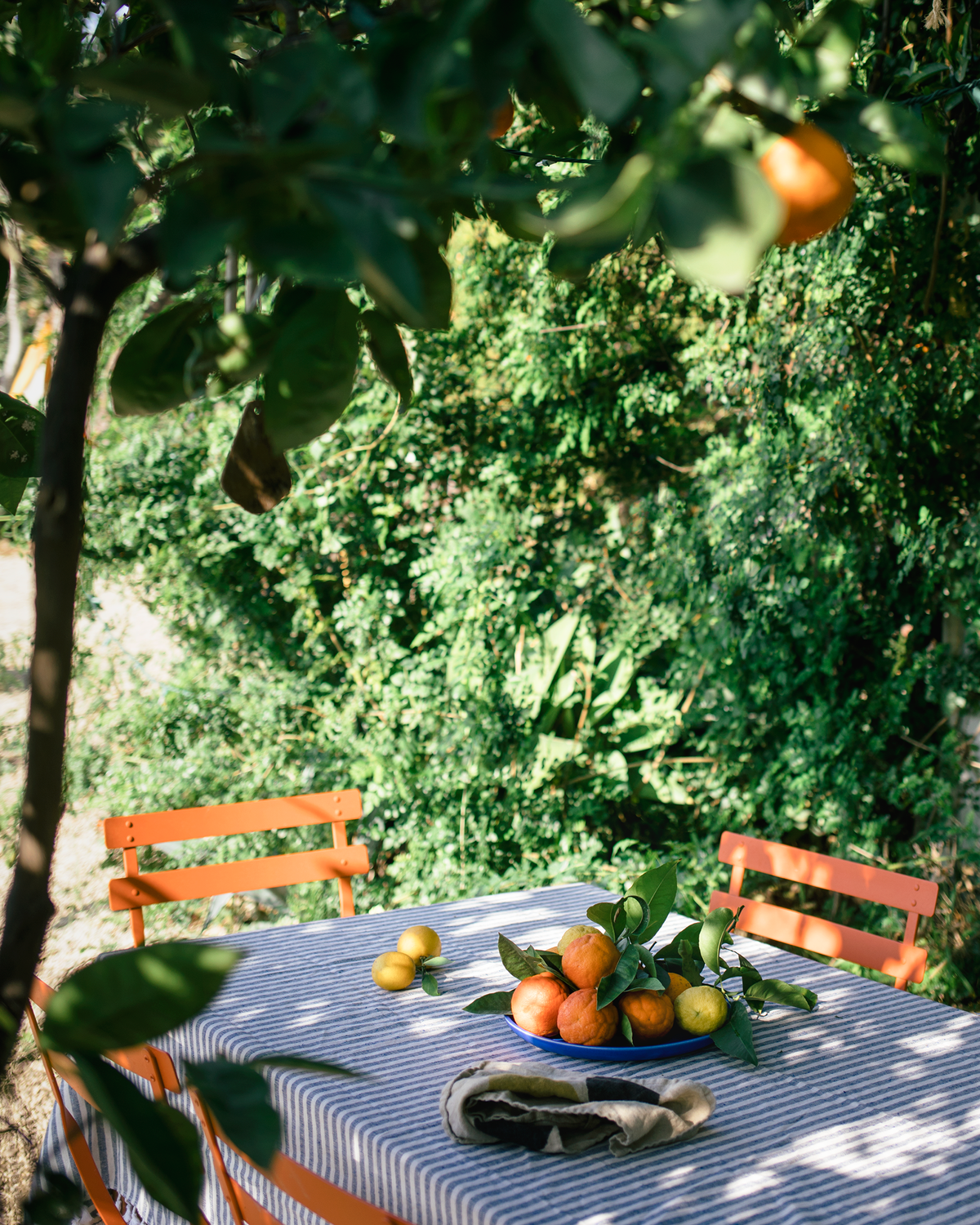 Living with Pattern: Ingrid Fetell Lee