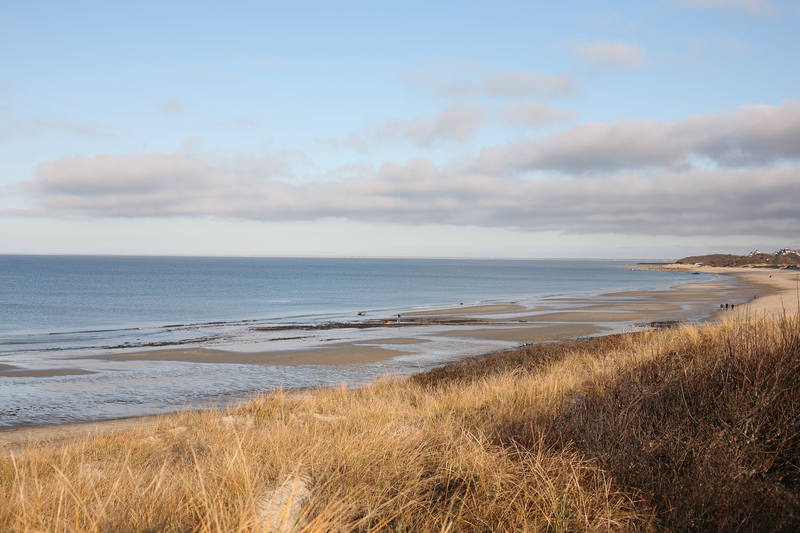 A Note From Rebecca: On Landscapes