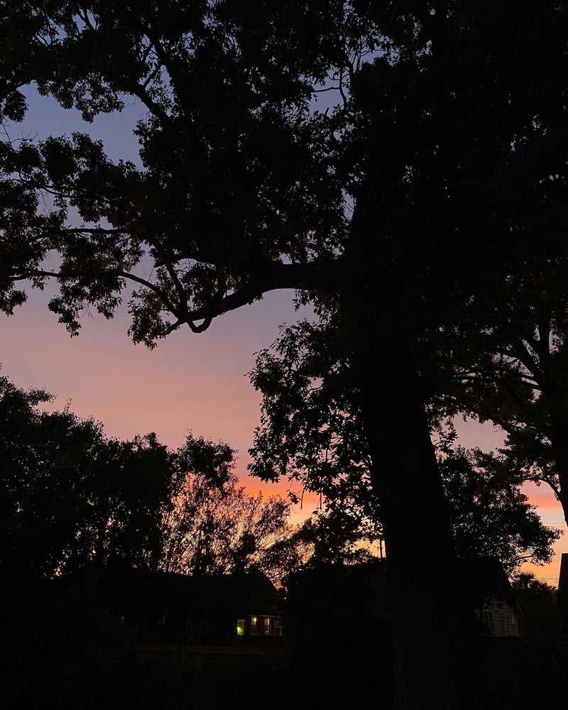 A Note From Rebecca: On Wonder