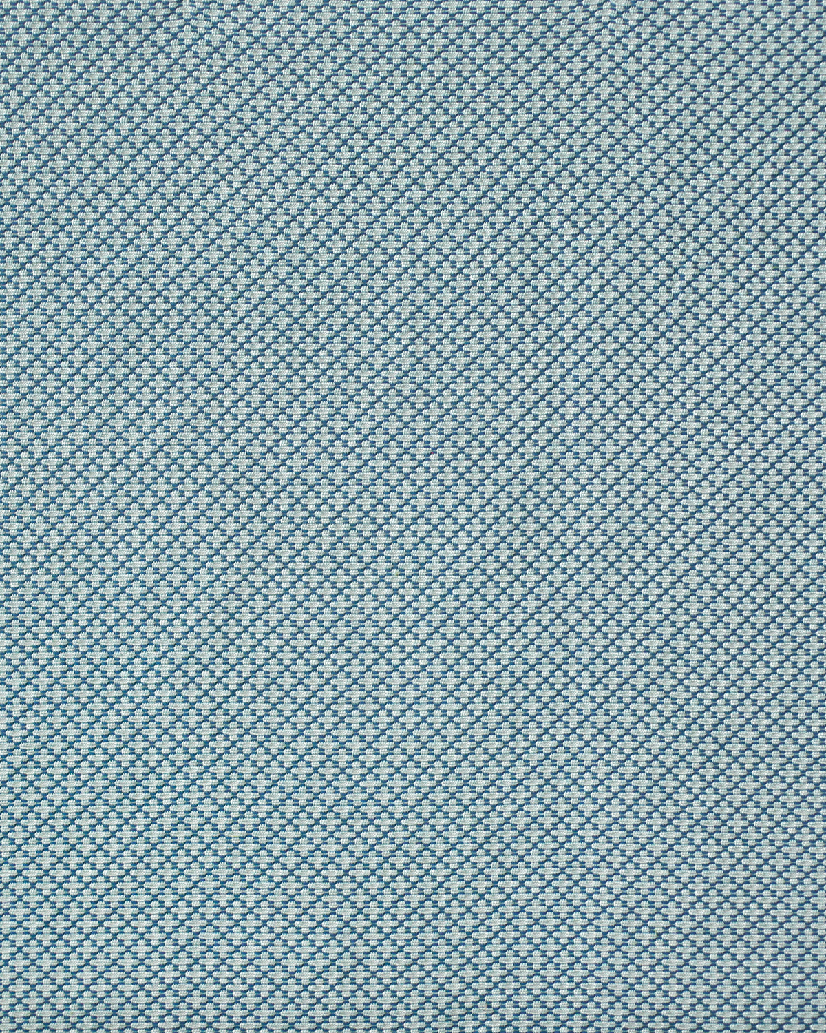 Arbor Fabric in Blue