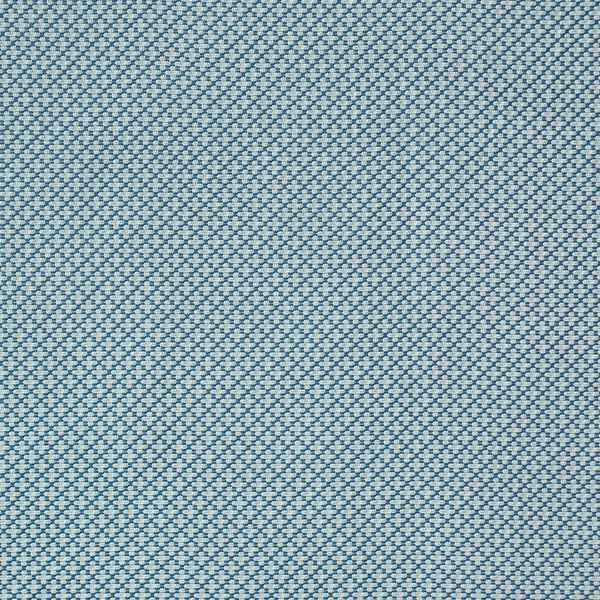 Arbor Fabric in Blue