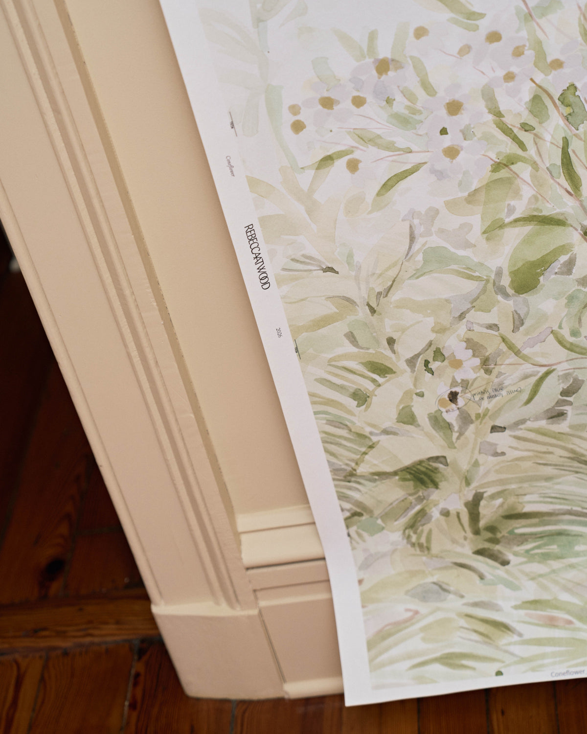 Coneflower Mural in Daisy