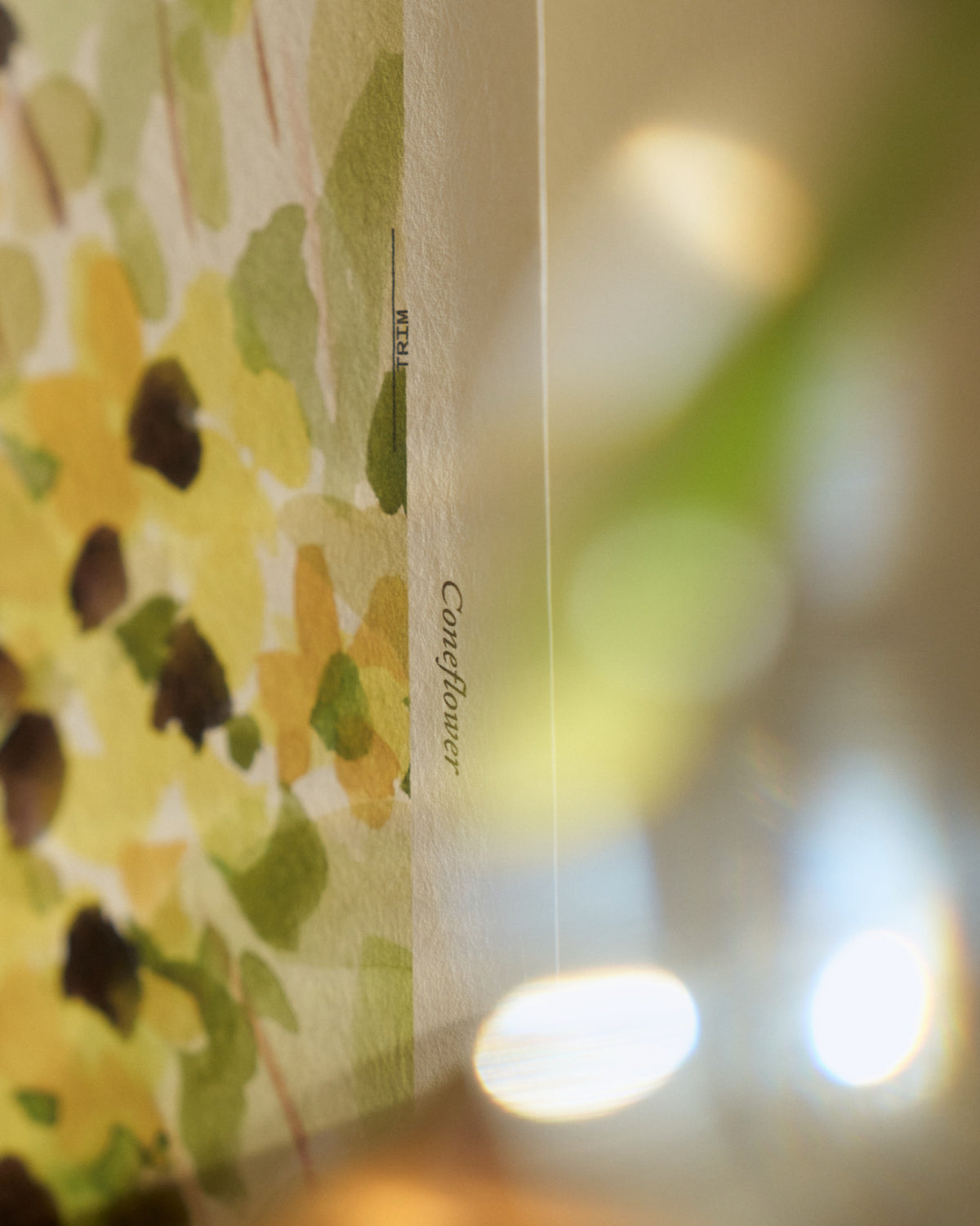Coneflower Mural in Yellow