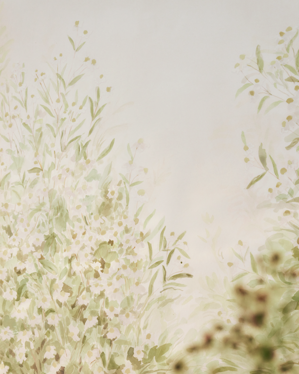 Coneflower Mural in Daisy
