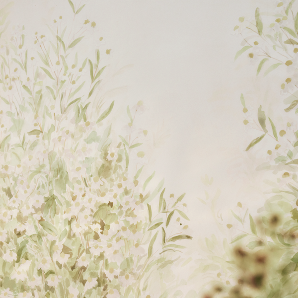 Coneflower Mural in Daisy