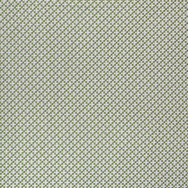 Arbor Fabric in Green