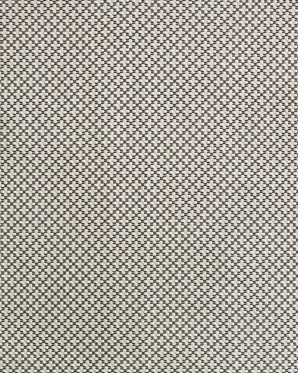 Arbor Fabric in Black