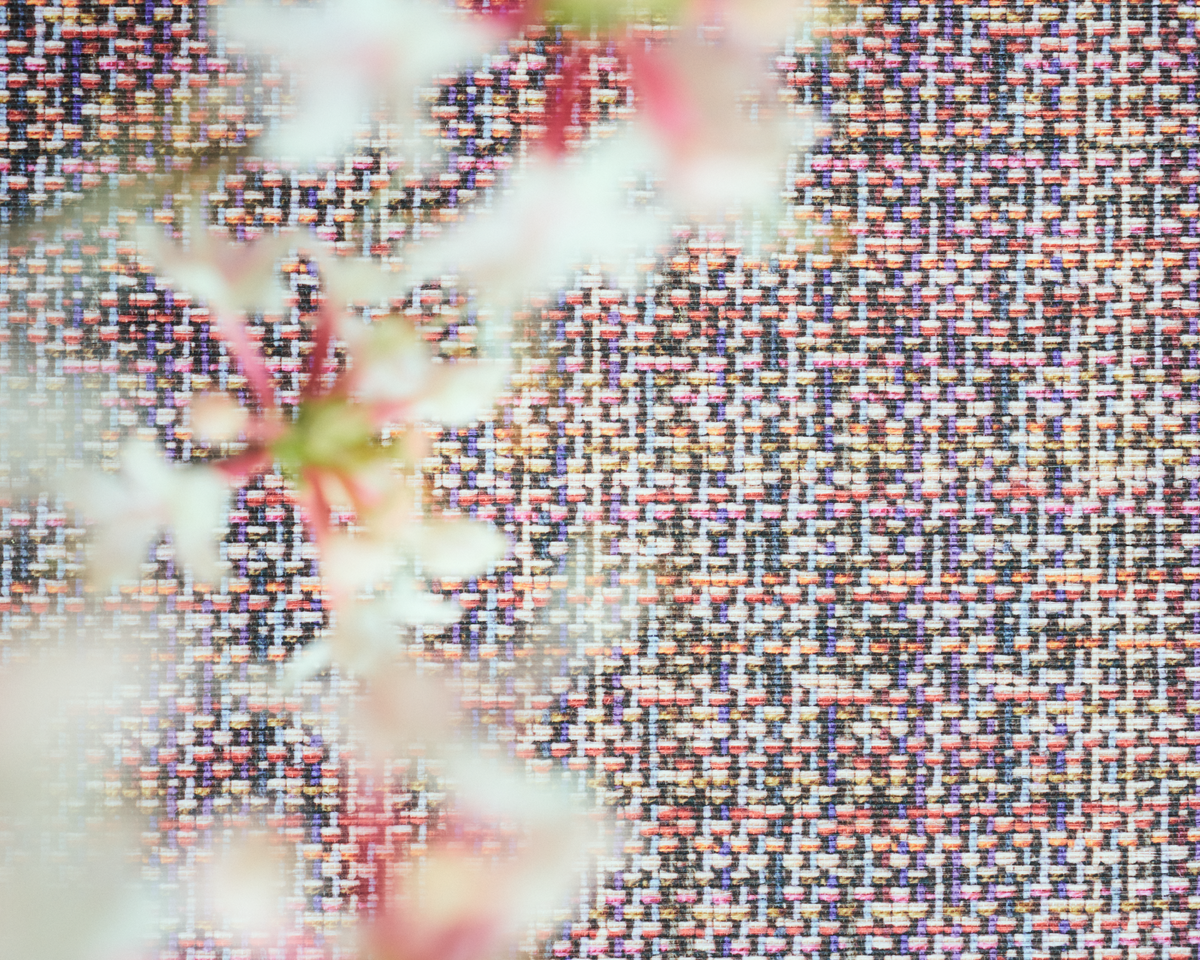 Bramble Wallpaper in Amaranth