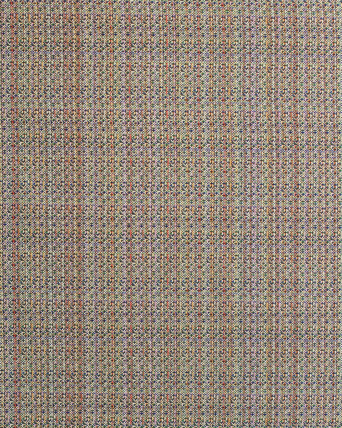 Bramble Fabric in Chroma