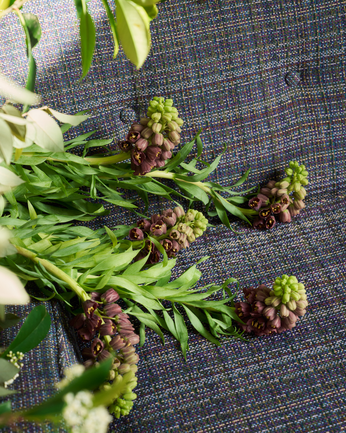 Bramble Fabric in Forest Purple