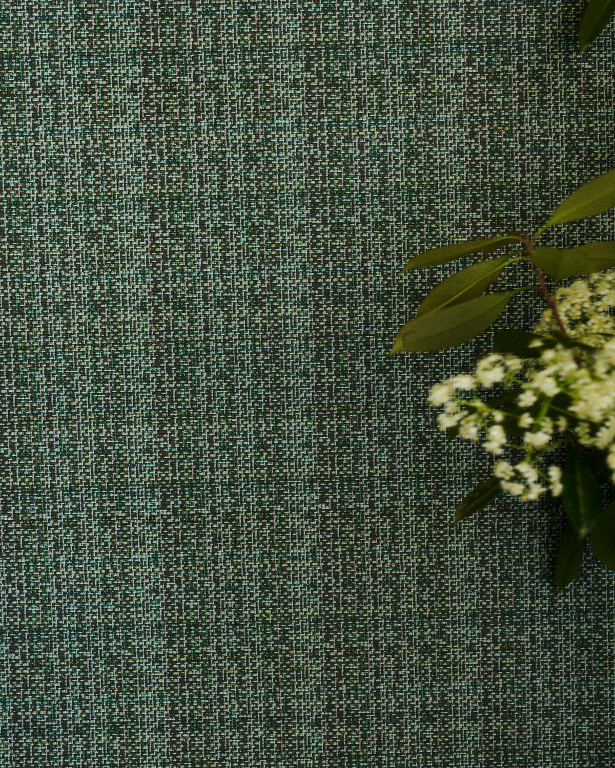 Bramble Wallpaper in Forest Shadow