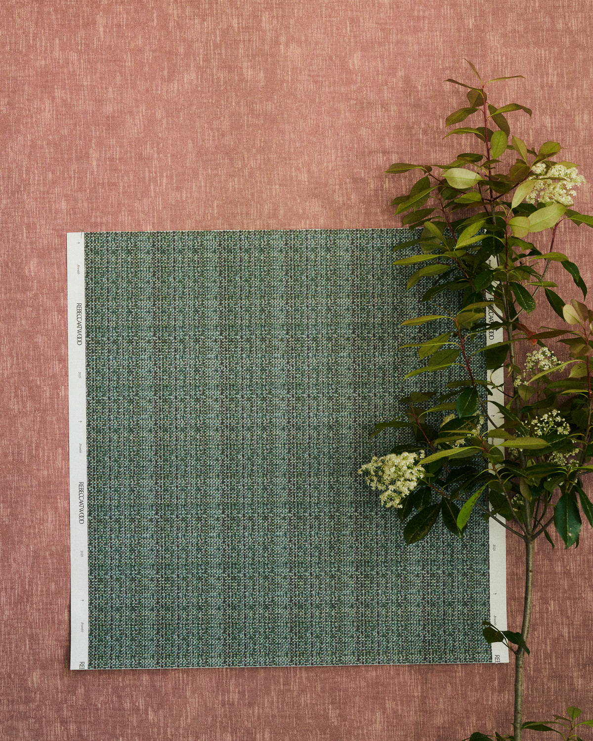 Bramble Wallpaper in Forest Shadow