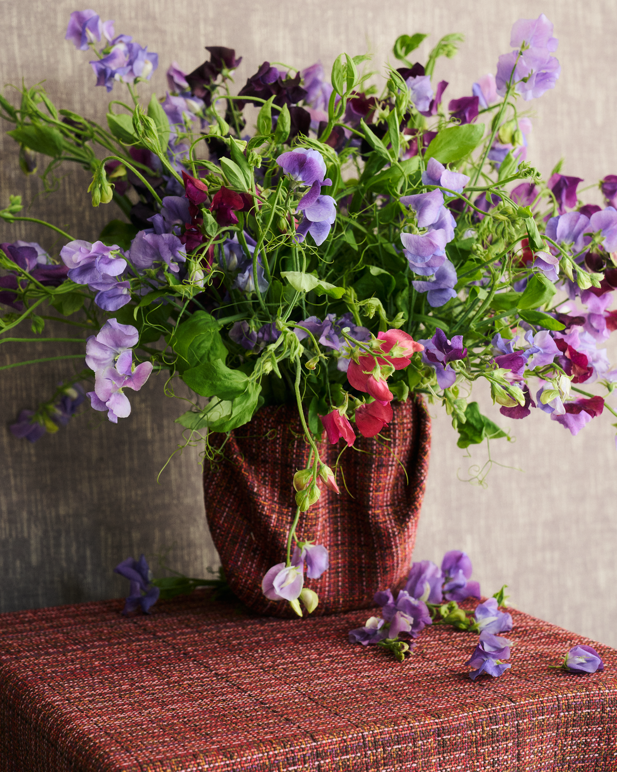 Bramble Fabric in Red Echinacea