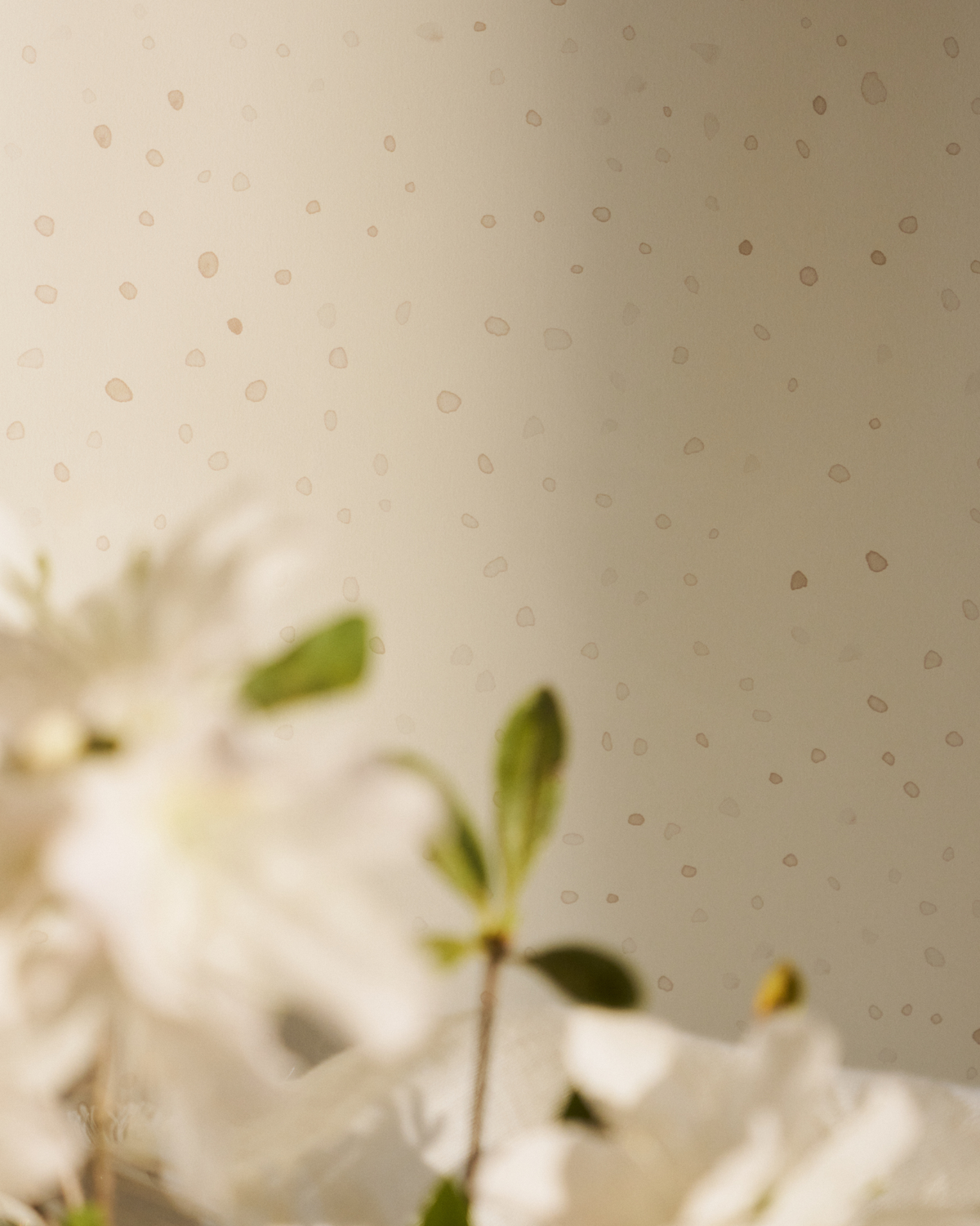 Bubbles Coordinate Wallpaper in Sand