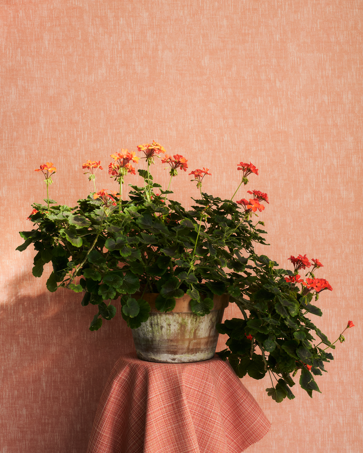 Park Fabric in Deep Coral