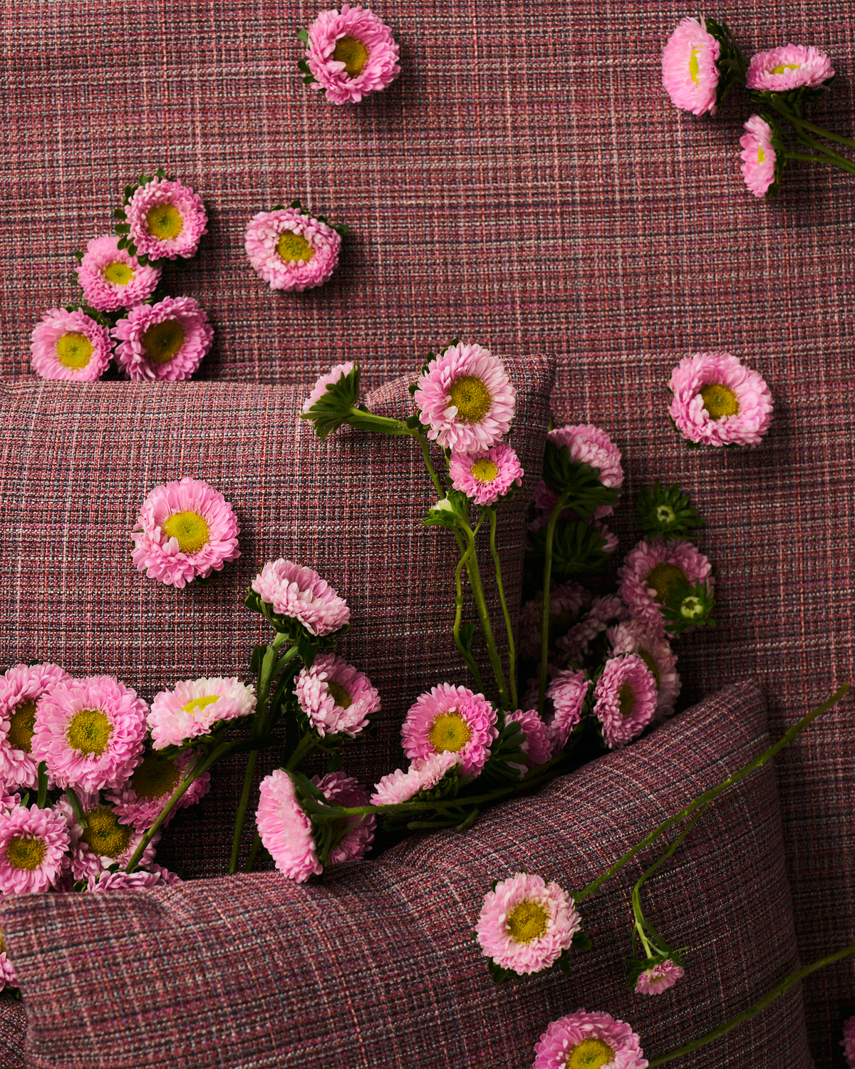 Park Fabric in Rosewood