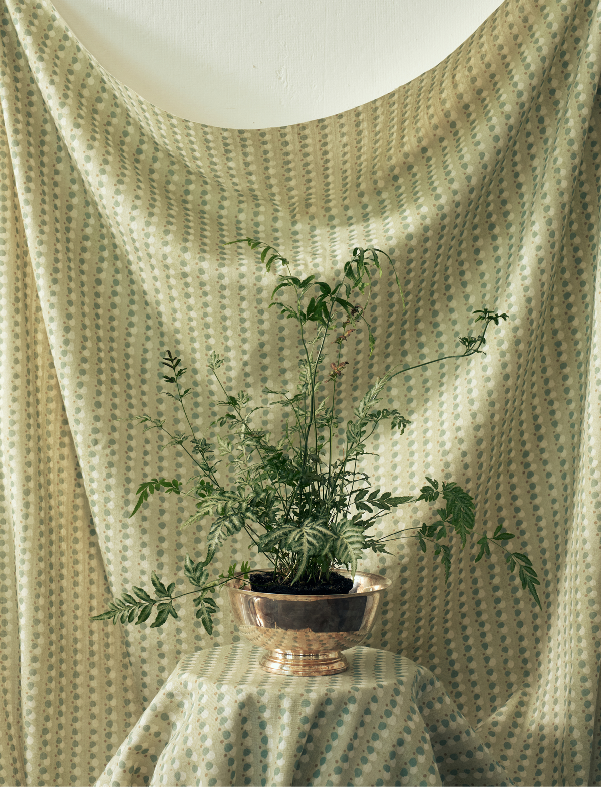 Dotted Lines Fabric in Pistachio