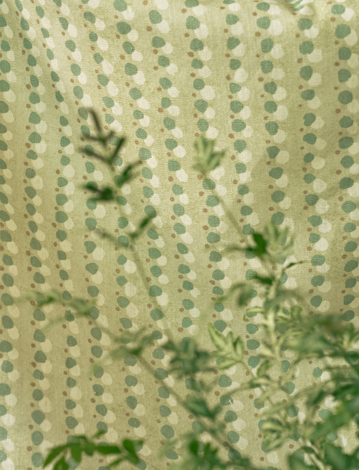 Dotted Lines Fabric in Pistachio