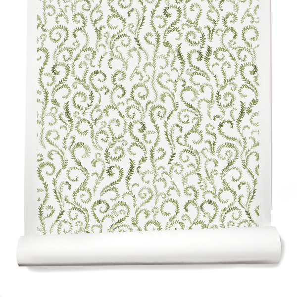 Painted Curling Vines Wallpaper in Green