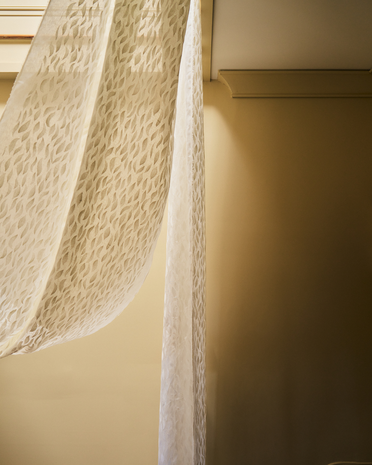 Petals Embroidered Fabric in White