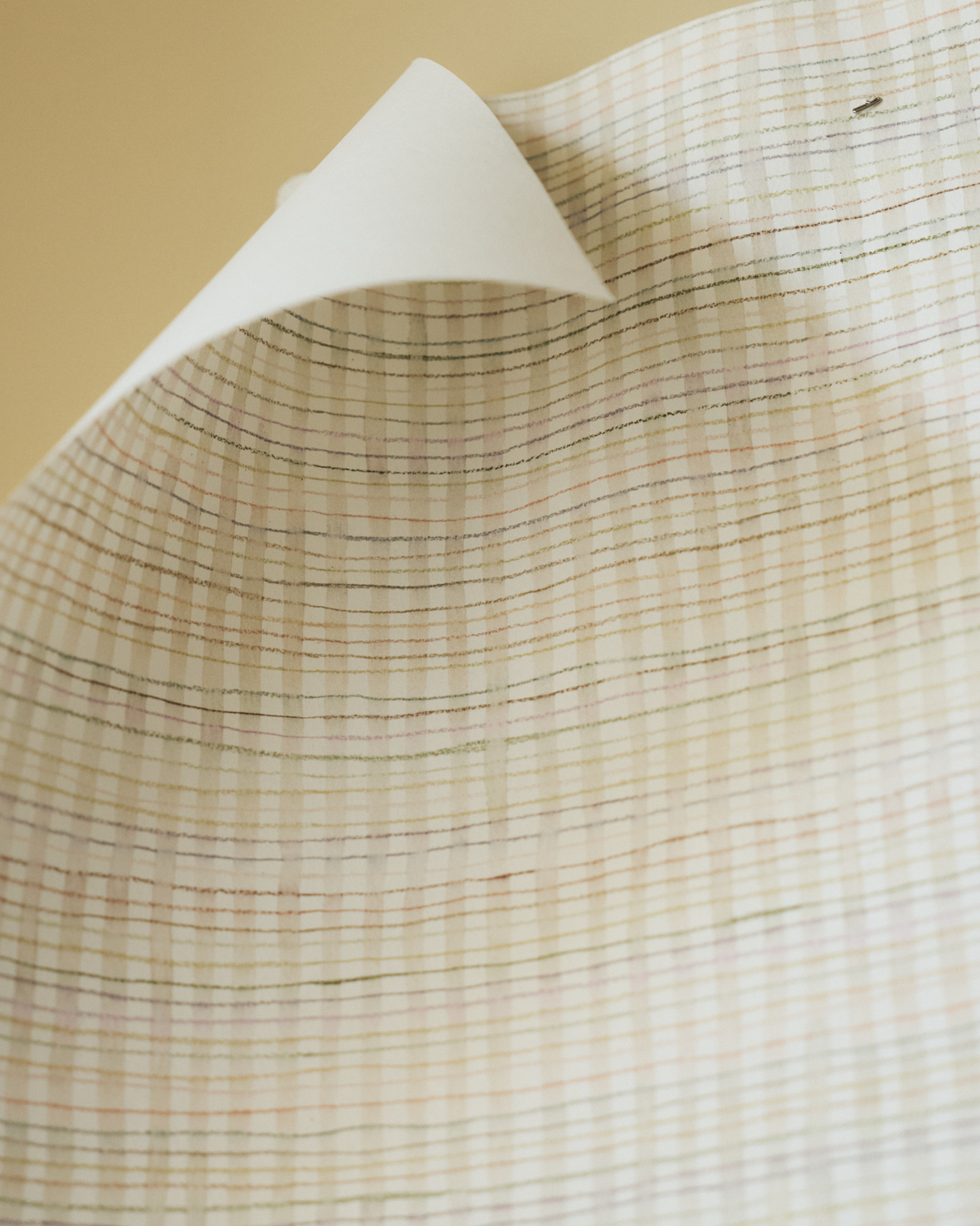 Picnic Wallpaper in Multi-Taupe