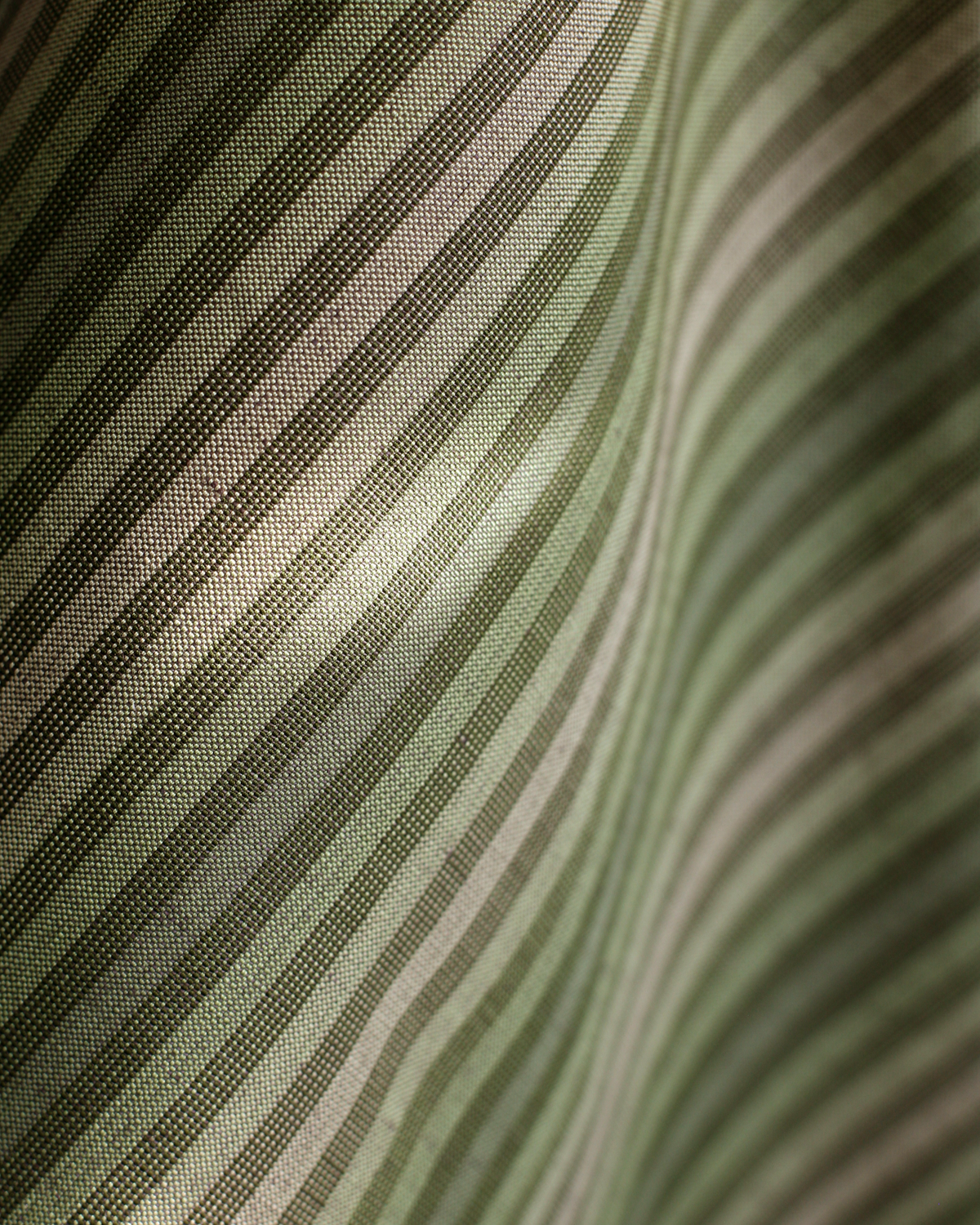 Ombré Stripe Fabric in Dark Green