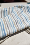 Garden Stripe Fabric in Gray/Blue Image 5