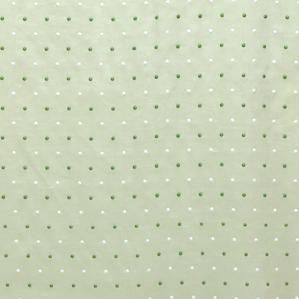 Embroidered Dots Sheer Fabric in Pistachio