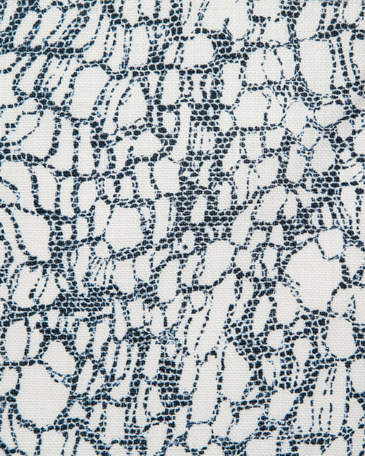 Lace Fabric in Navy