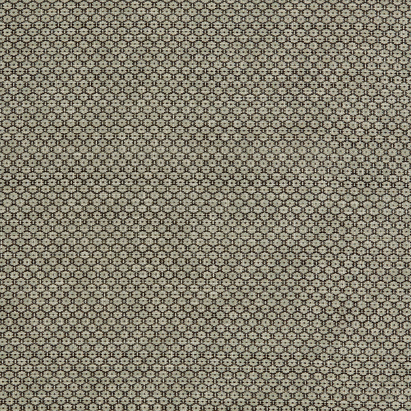 Floret Fabric in Graphite