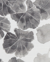 Geraniums Fabric in Gray Image 2