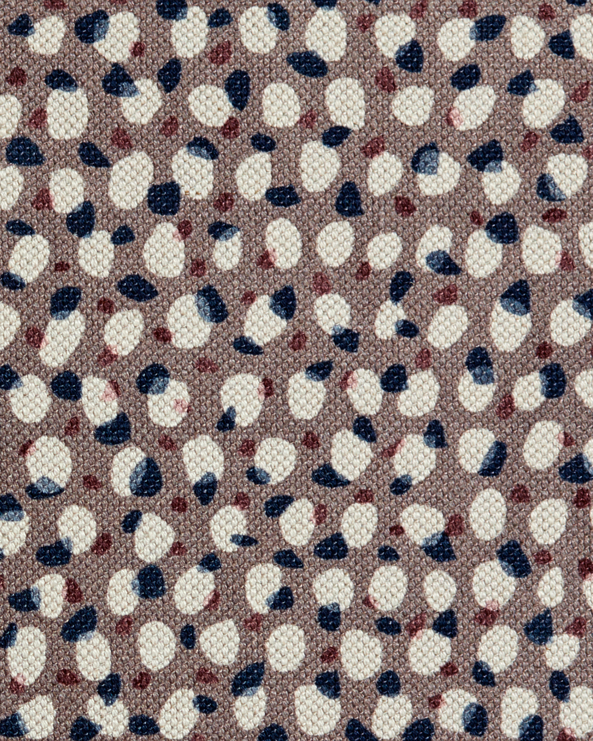 Scattered Dot Fabric in Earth