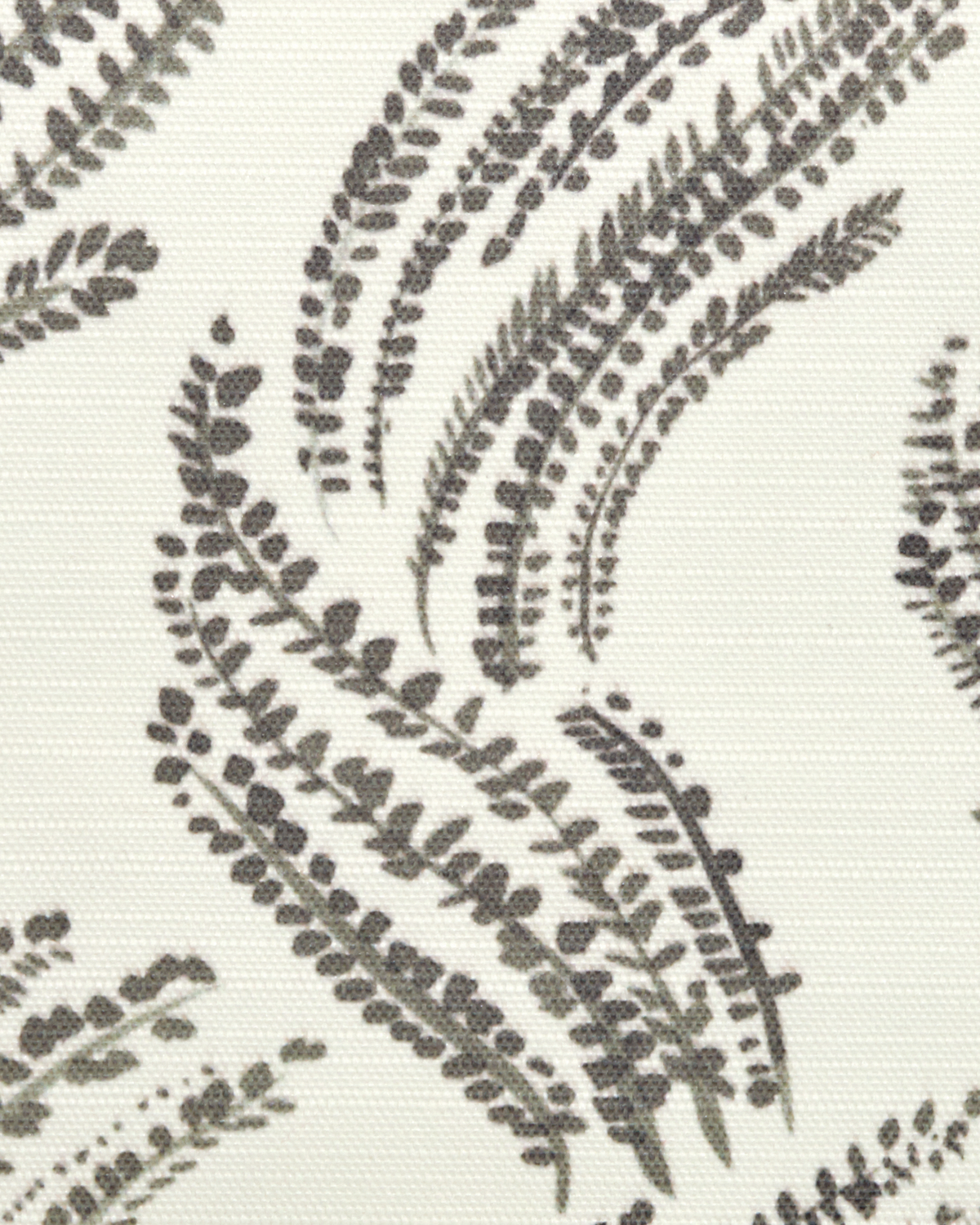 Wavy Grass Fabric in Inkwash